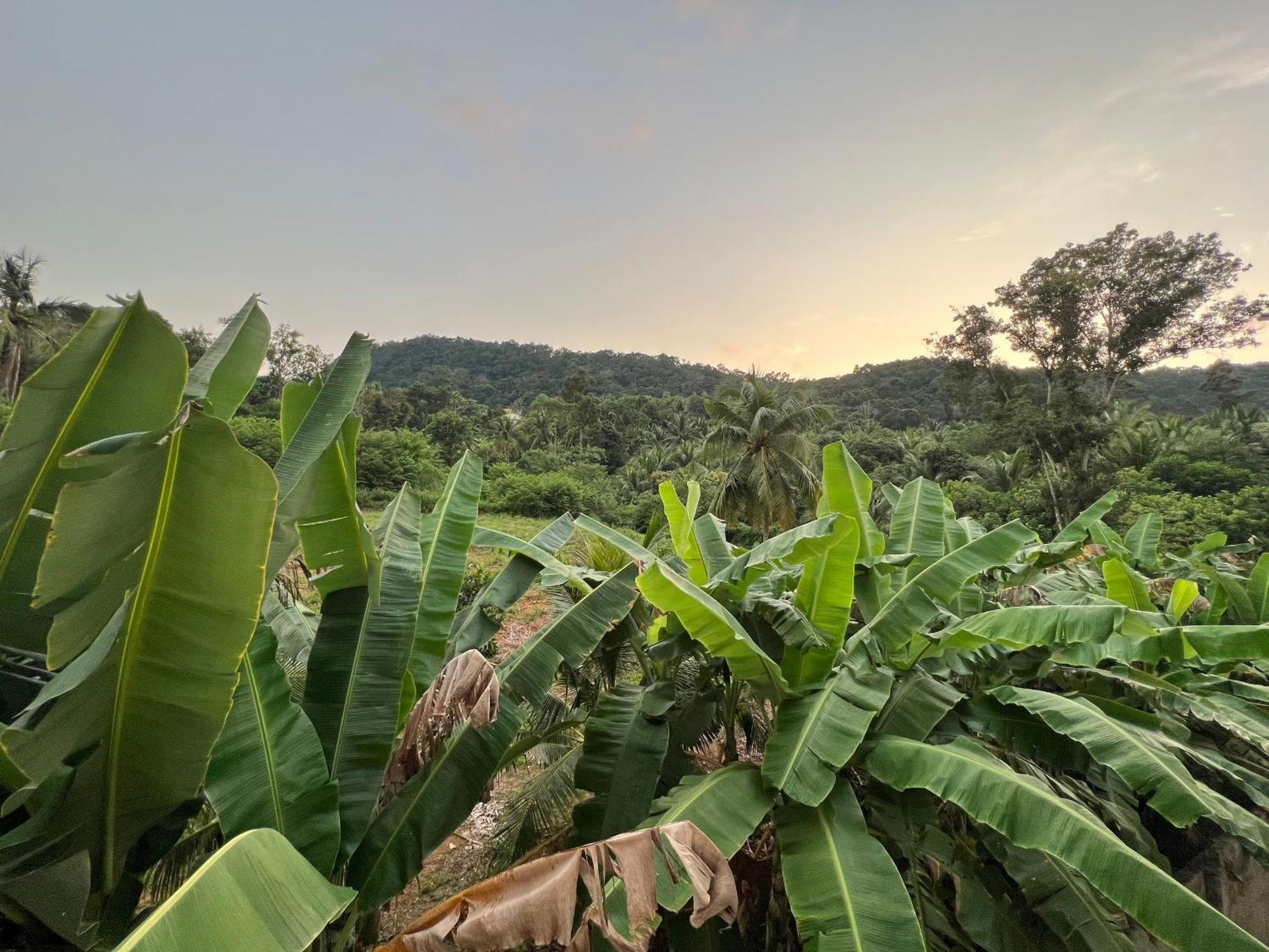 Bungalow Sáng Tươi Mountains Phú Quốc Ngoại thất bức ảnh