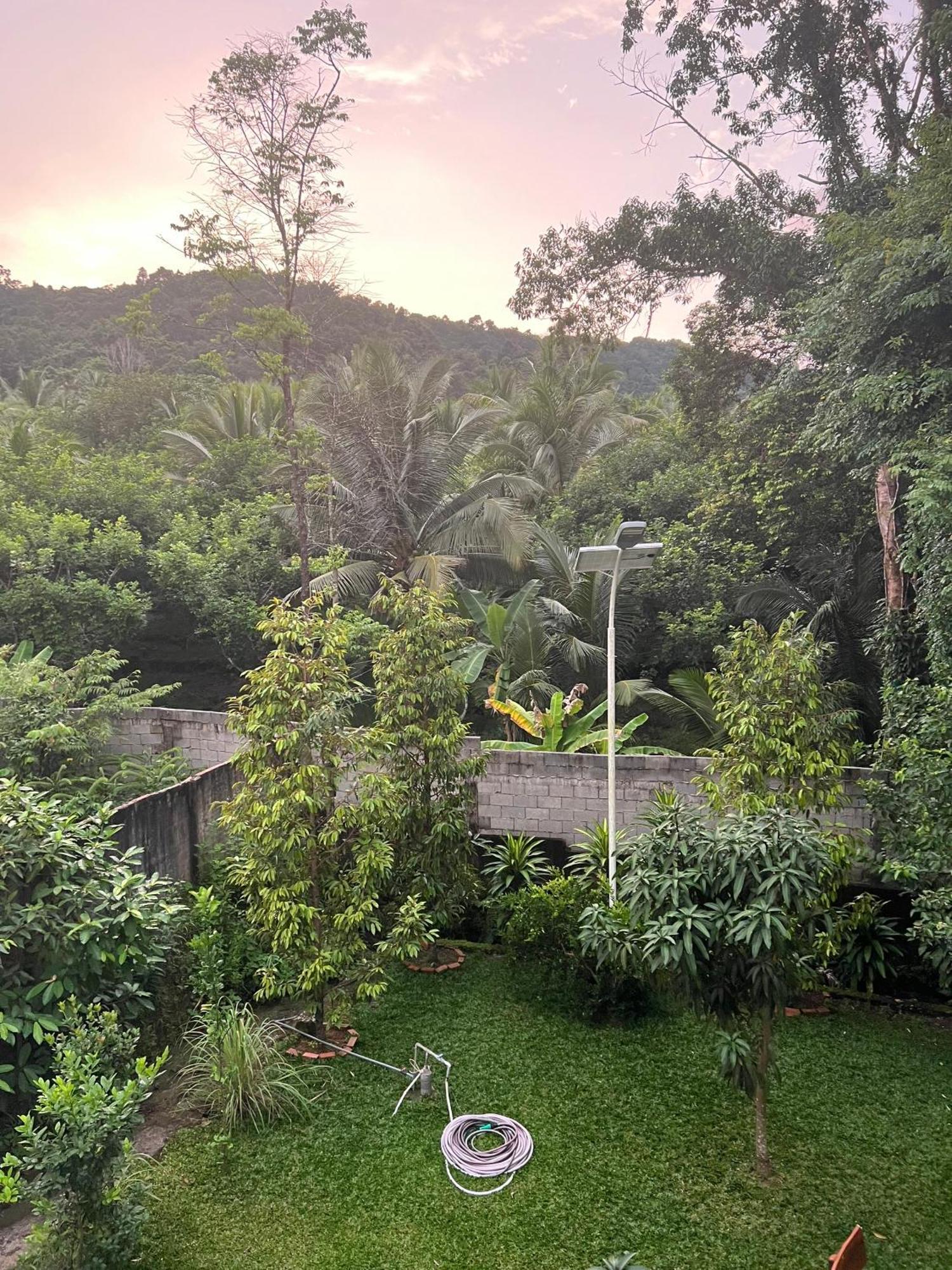 Bungalow Sáng Tươi Mountains Phú Quốc Ngoại thất bức ảnh